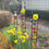 Thumbnail: 4" X 48" TOTEMS for your garden!