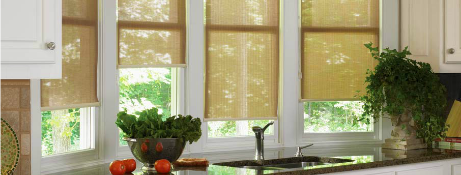 Roller Screen Shade