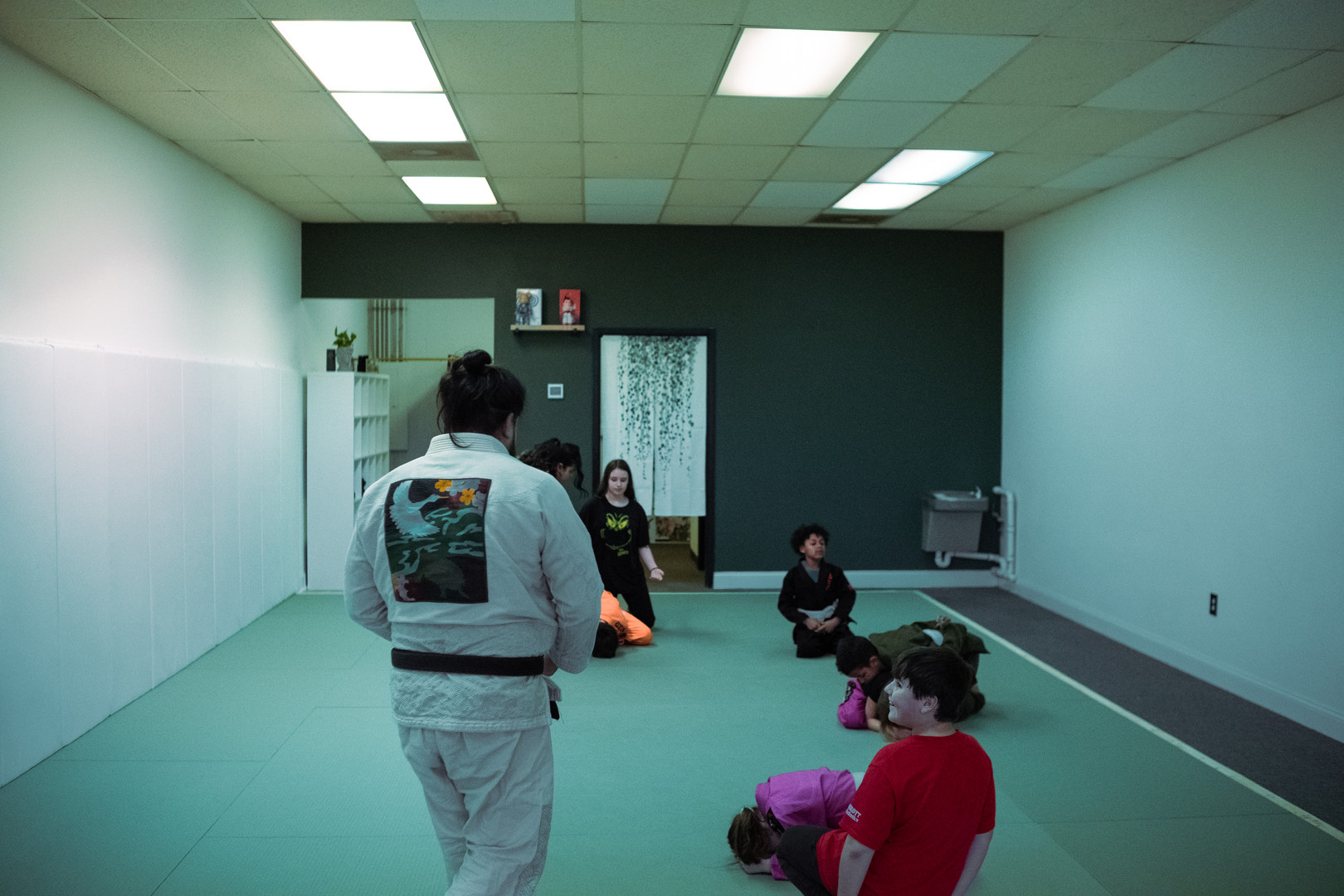 Skyline Jiu Jitsu location 990 Hopeman Pkwy Waynesboro VA