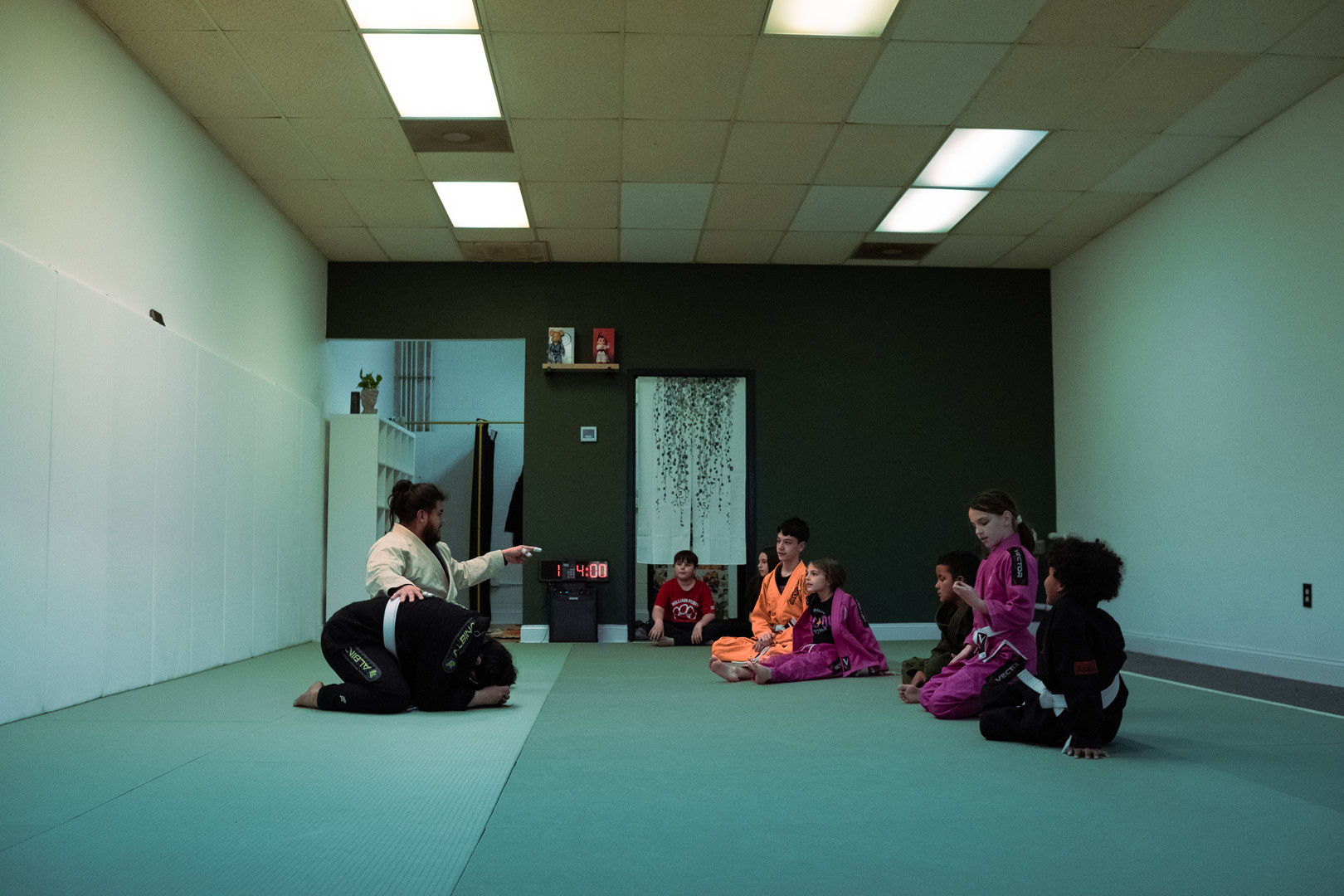 Skyline Jiu Jitsu gym Waynesboro Virginia