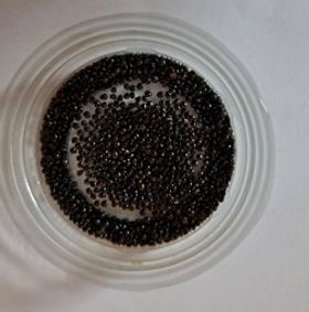 晚上7.41 2025-7-8的影像 (3).jpeg