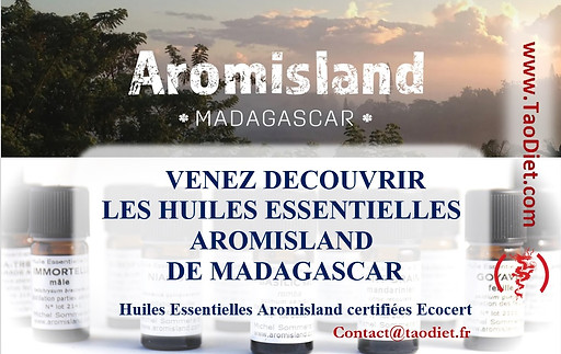 Affiche de base sans date.jpg