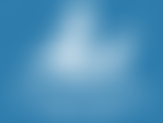 2月13日(日)ホワイトセールクルージング開催