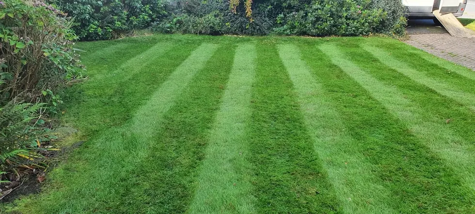 Striped Lawn Front Garden.