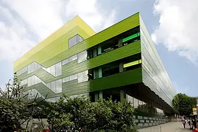 EDM Elevate Giscolene Banner Image.webp