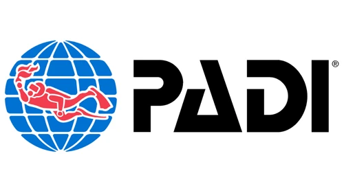padi copy.webp
