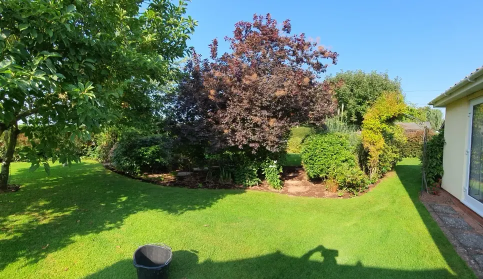 Garden Lawns and Borders