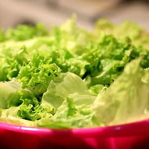 SALADE VERTE