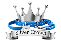 boySilverCrown_edited.png