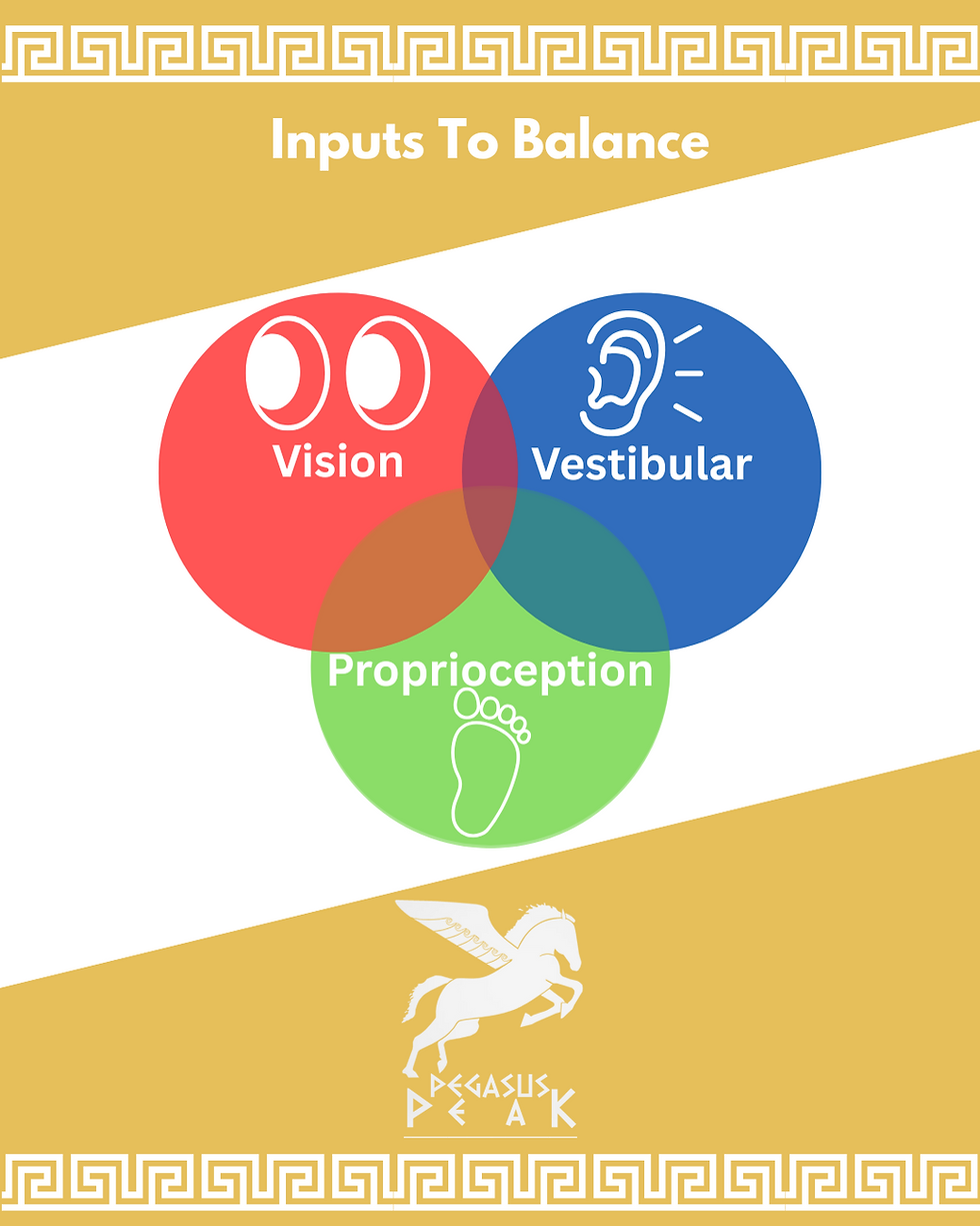 Balance Inputs