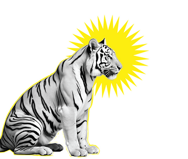 Untitled design (1).png