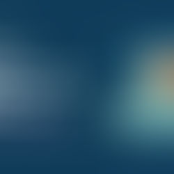 Phoenix LiveView Race Conditions Cover