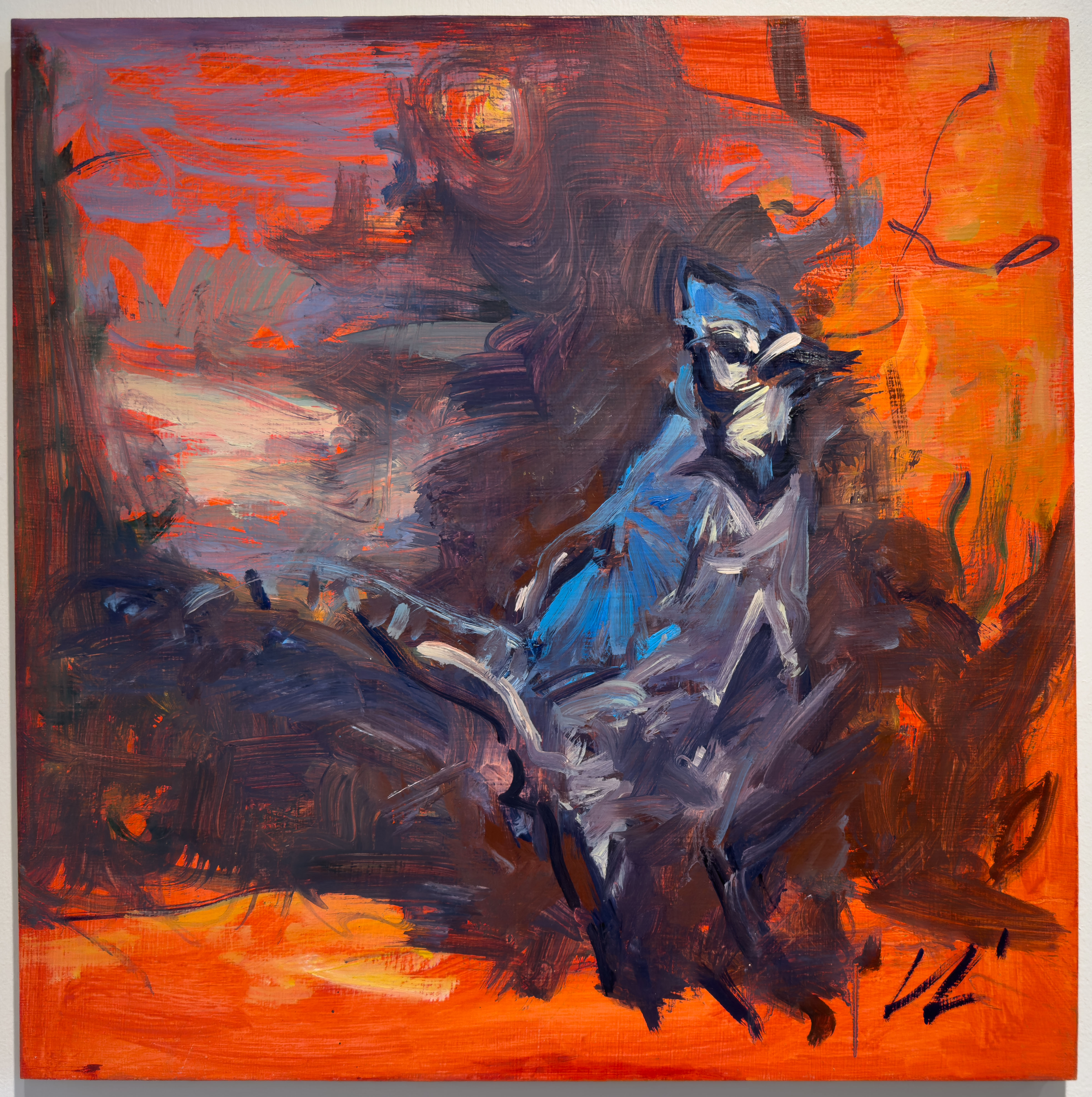 A bright blue Blue Jay in a sea of bright red