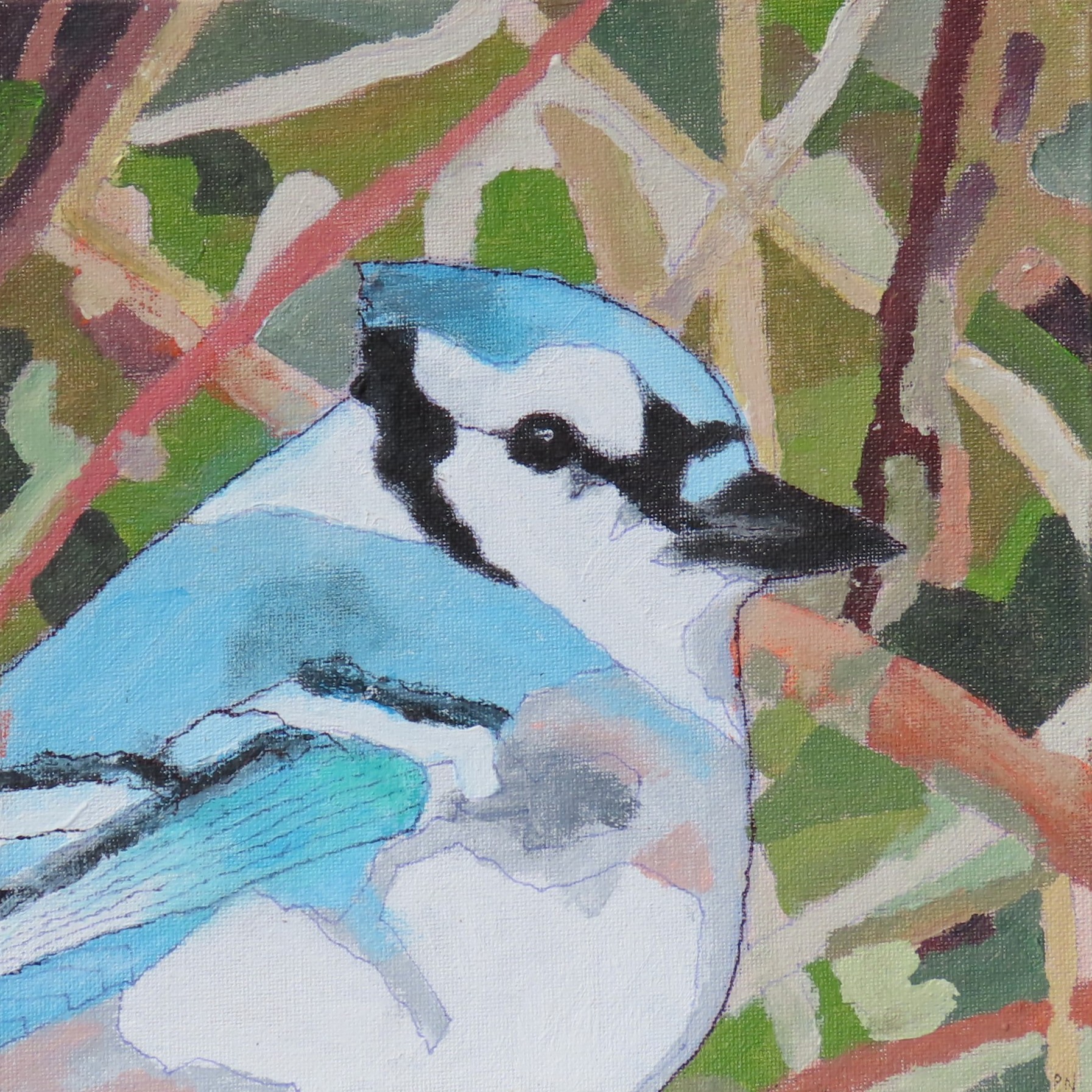 A Blue Jay (the bird) in front of twigs