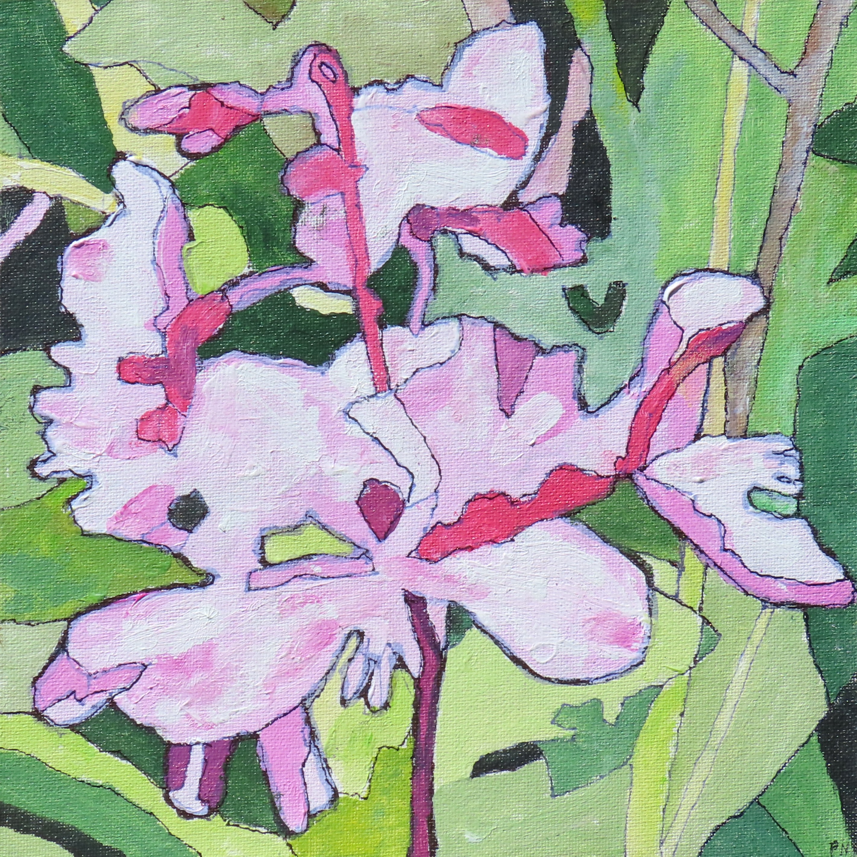 A bright light pink flower over green leaves