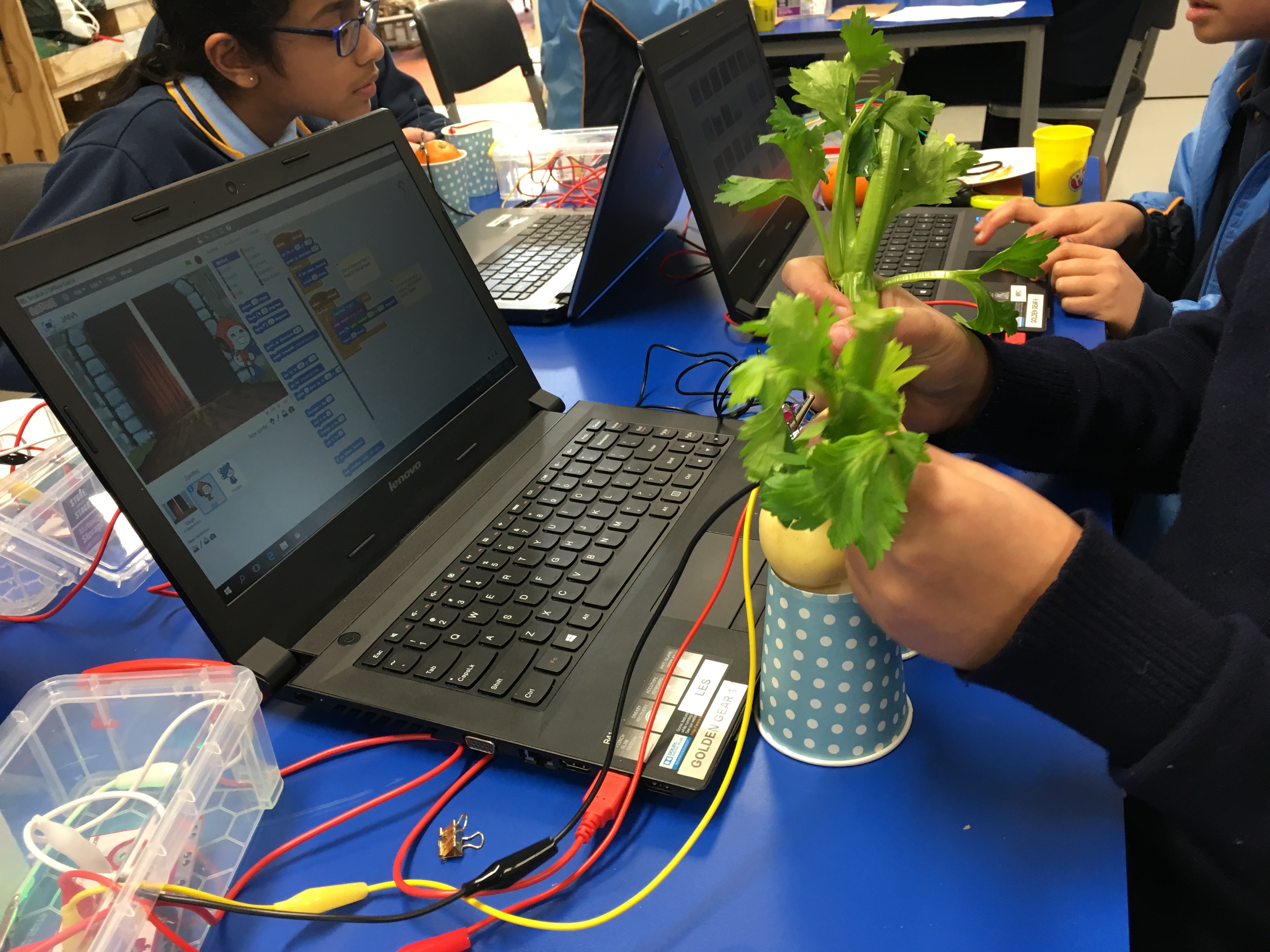 Code & invent grade 5/6 incursion