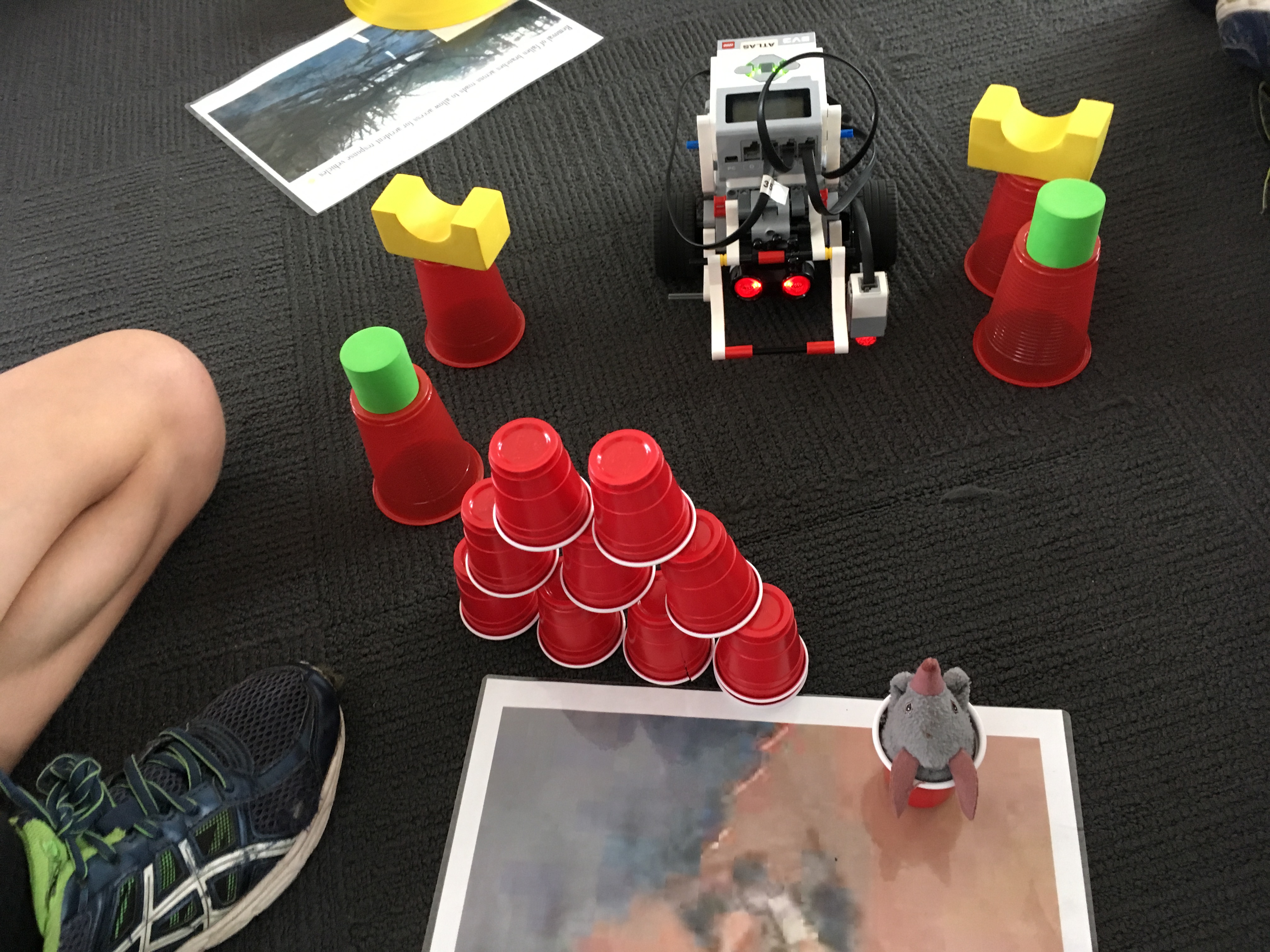 Robotics incursion