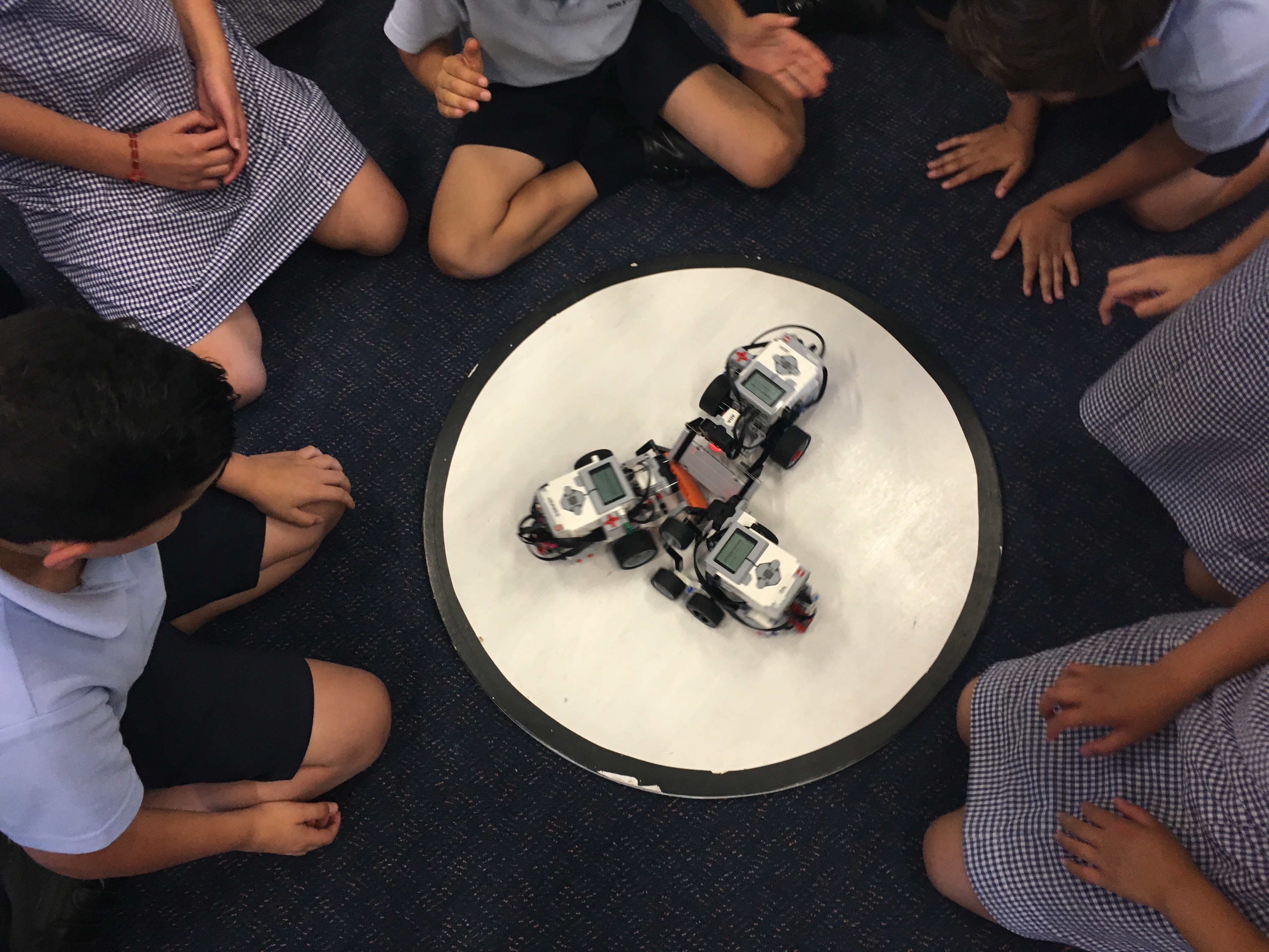 Sumo robot incursion
