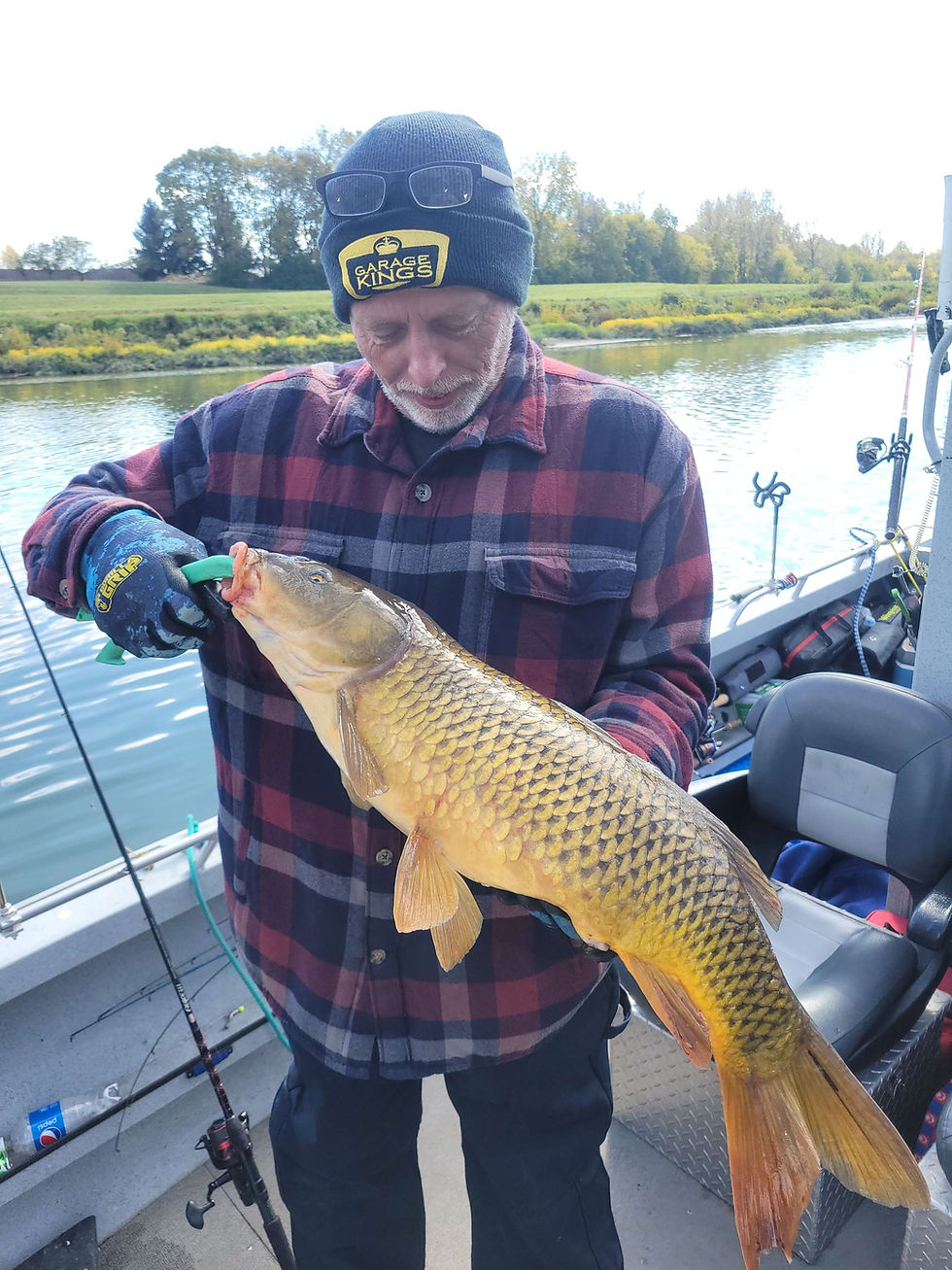 Thumbnail: Full-day Carp extravaganza !!