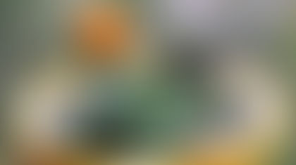 Indoor Succulent Arrangements: Low-Maintenance Greenery for Everyday Living