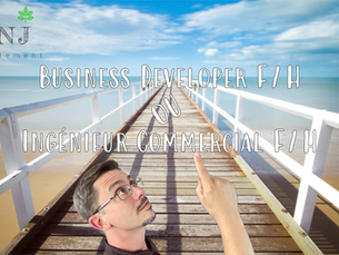 Business Developer IT F/H