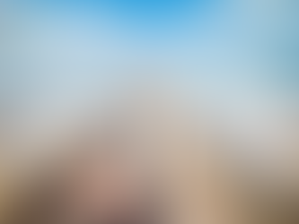 Business Developer IT F/H