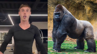 Cole Palmer gives hilarious response to "100 men vs. 1 gorilla" question: "It depends..."