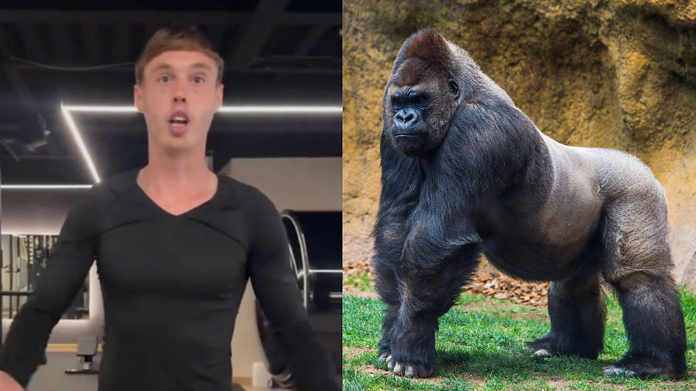 A man in a black shirt stands indoors with a surprised expression. Beside him, a gorilla stands on grass, showing a calm demeanor.