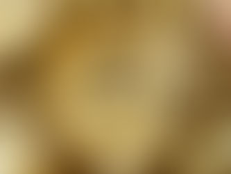 Giant Cranberry White Chip Oatmeal Cookies - A Great Grab and Go Wisconsin Breakfast!