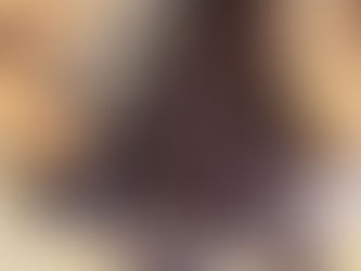 Single Skillet Chocolate Chip Cookie and MORE!