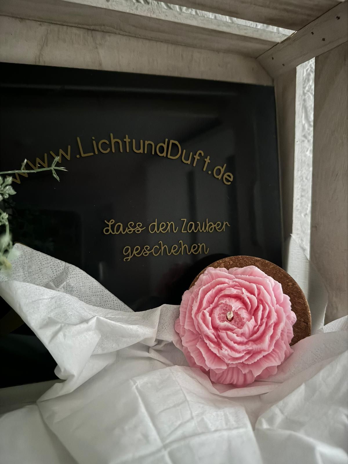 Licht und Duft - das beste Geschäft für schöne Kerzen in einem außergewöhnlichen Design & Duft Duftkerzen / Dessertkerzen /Mo