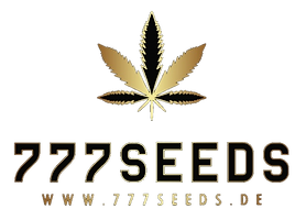 777SEEDS.de – Ihr bester Online-Shop für Hanf- und Cannabis-Produkte. Vom Samen bis zum fertigen Produkt, alles aus einer Hand. Hanf Samen Cannabis Premium Qualität Online Shop Ertragreich Gesundheit Natur Nachhaltig Züchter Enthusiasten Erfahrung Experten Sorten Auswahl Ethisch Anbaumethoden Kundenzufriedenheit Service Pflanzen Anfänger Erfahrene Produkte Sortiment Marke Vertrauen Bestellung Lieferung Diskret Sicher Zahlungsmethoden Unterstützung Beratung Keimung Wachstum Ernte Blüte THC CBD Indica Sativa Hybrid Outdoor Indoor Biologisch Organisch Dünger Beleuchtung Klima Kontrolle Zubehör Tools Anfängerpaket Fortgeschrittene Zucht Sets Samenbank Genetik Stabilität Resistent Krankheitsresistenz Schimmelresistenz Schädlingsresistenz Geschmacksprofil Terpene Aroma Effekte Heilpflanze Medizinisch Entspannung Schmerztherapie Schlafstörungen Appetitanregung Stimmungslage Stimulierung Kreativität Konzentration Pflegeanleitung Kultivierung Stämme Bewertung Community Forum Nachrichten