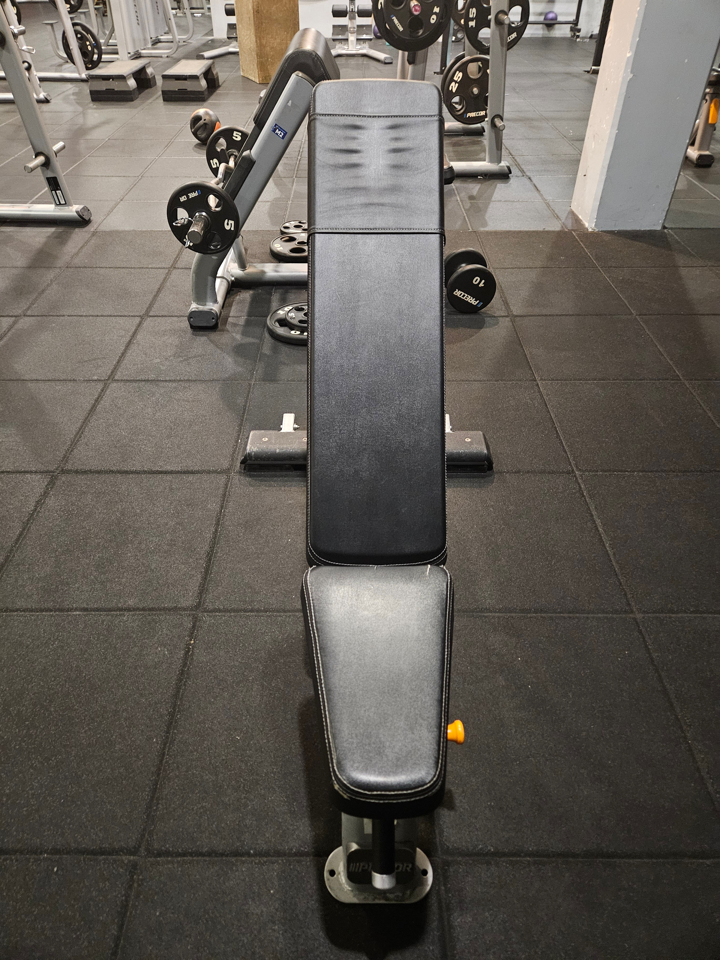 Banc réglable à roulettes Precor Discovery