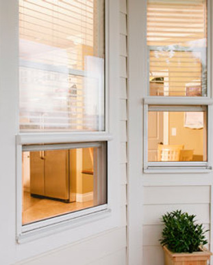 home-windows.jpg