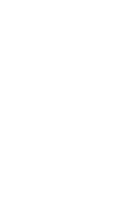 31.png