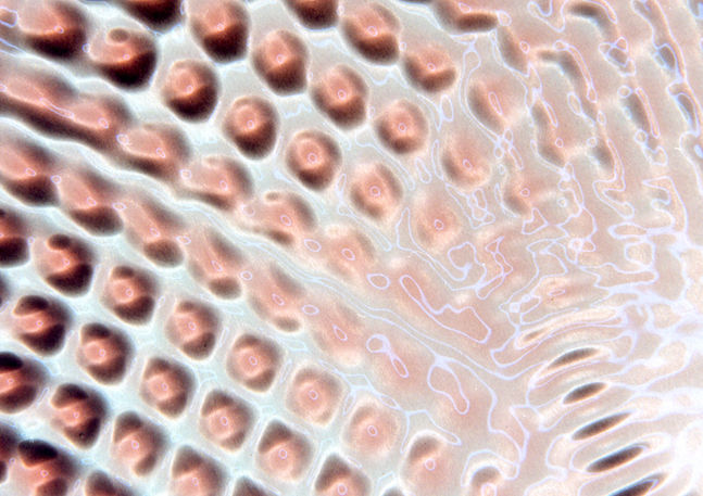 Image of liquid states of unrest, visual frequencies, water, pigment