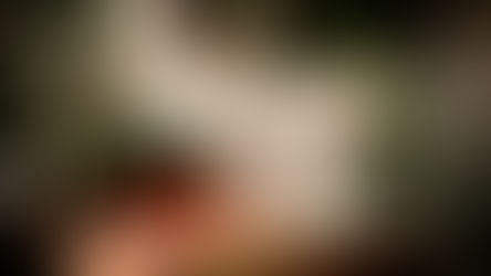 Quels leviers d’acquisition de trafic pour votre site e-commerce