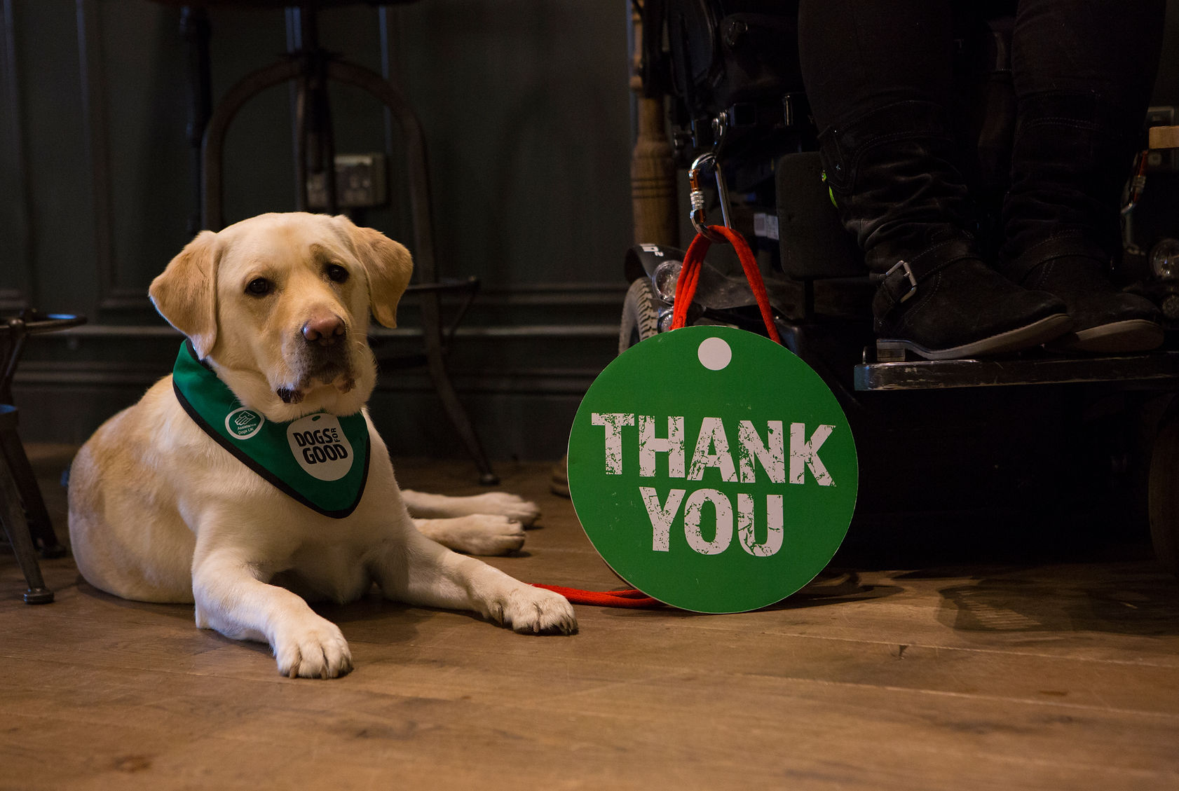 Dogs for Good Thank You.jpg