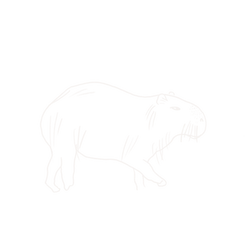 Untitled_Artwork - 2025-10-08T155404.331.png