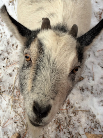 Screen Shot 2022-01-11 at 2.27.23 PM.png