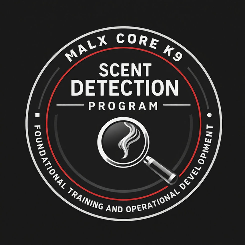 image0 (6).png