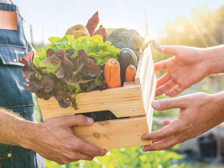 Pourquoi consommer local et de saison ?