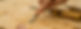 want-to-work-with-wood-icould-image-crop-dominik-scythe-unsplash-770.jpg