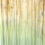 Thumbnail: Naturally Dyed Scarf