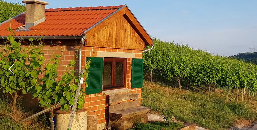 Weinberghäuschen in den Weinbergen bei Sonnenuntergang