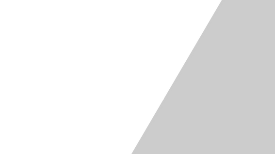 Strip_Visser Plumbing.png