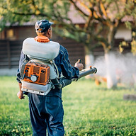 Controlling Mosquitoes