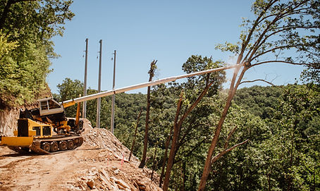 Yellow machine clearing trees on a hillside near power lines.