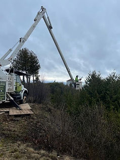 Vegetation management