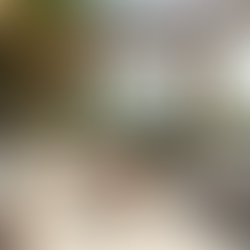 Transform Your Space with Outdoor Renovation Ideas